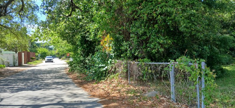 Property image 2 at 828 5th Avenue, Charleston, SC 29407