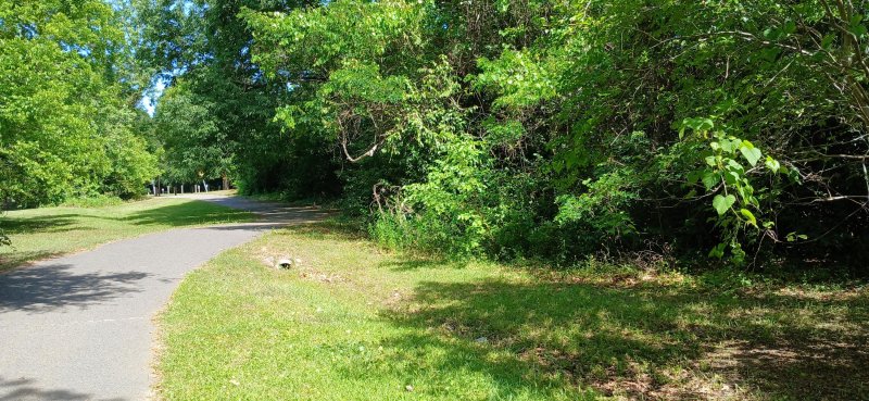 Property image 3 at 828 5th Avenue, Charleston, SC 29407