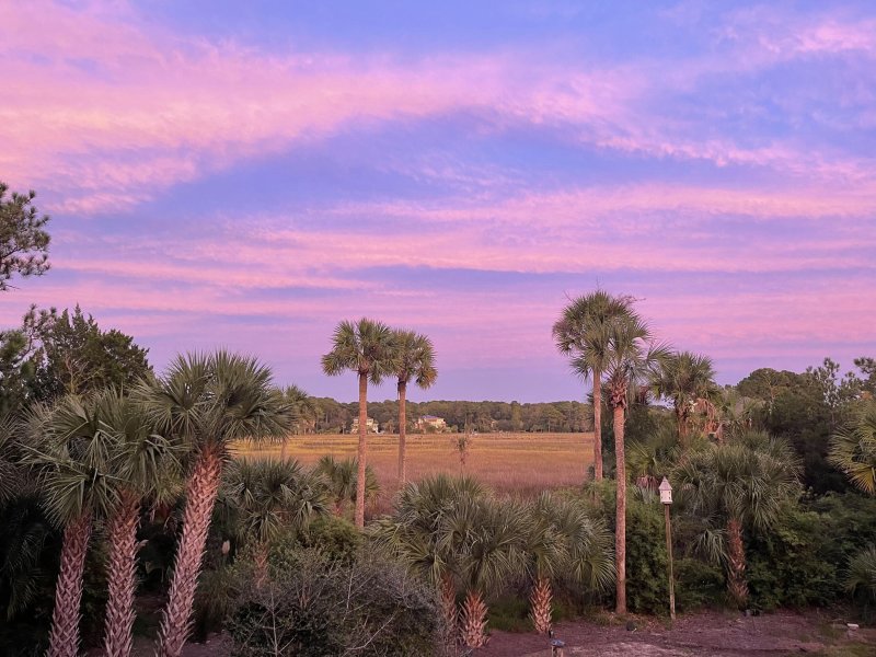 Property image 3 at 2444 Darts Cove Way, Mount Pleasant, SC 29466