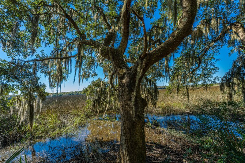 Property image 2 of 4654 Palm View Circle Circle in Ashley River Commons, North Charleston, SC 29418