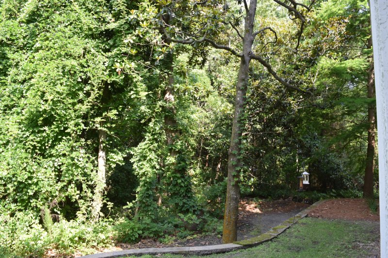 Property image 4 at 60 Fenwick Hall Alley 512, Johns Island, SC 29455