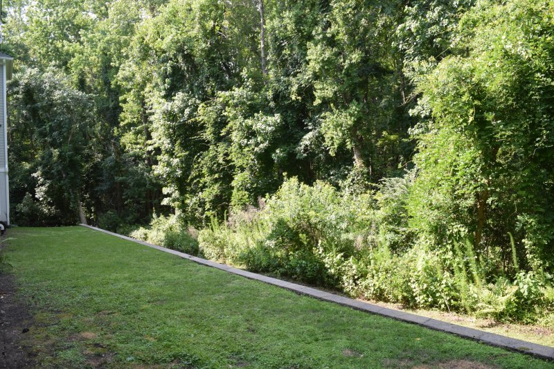 Property image 5 at 60 Fenwick Hall Alley 512, Johns Island, SC 29455