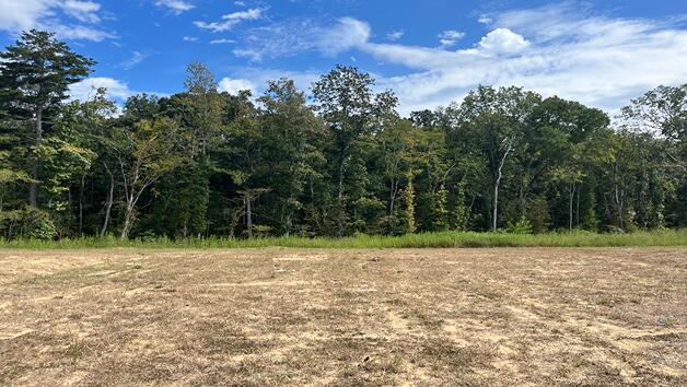 454 Tulip Poplar Drive