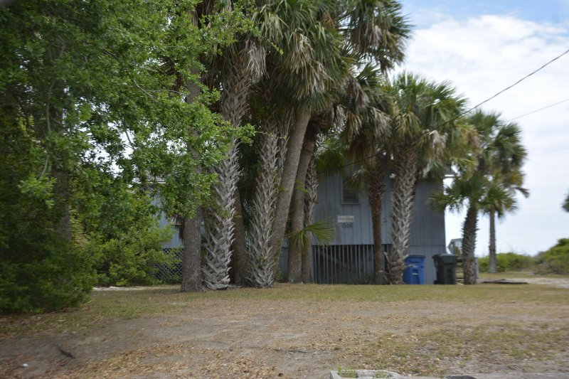 Property image 2 of 1106 Palmetto Boulevard in Beachfront, Edisto Island, SC 29438