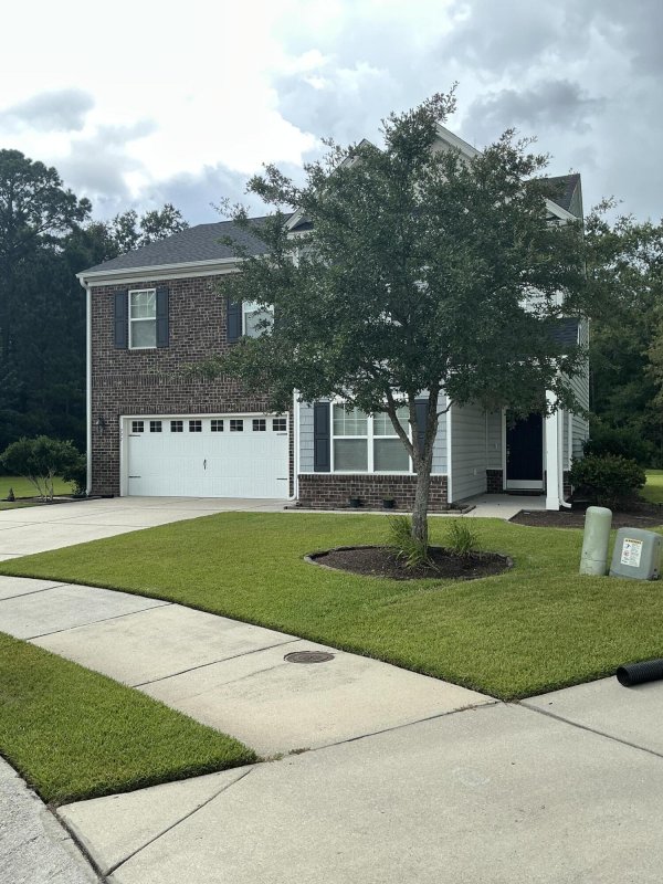 222 Buttonbush Court