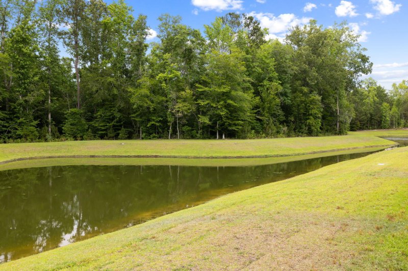 Property image 4 of 167 Cherry Grove Drive in The Ponds, Summerville, SC 29483