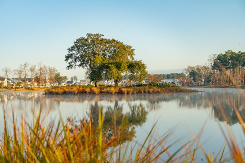 Property image 4 of 3850 Delinger Drive in Carolina Park, Mount Pleasant, SC 29466