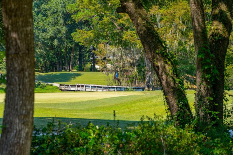 Property image 5 of 102 Old Course Road in Legend Oaks Plantation, Summerville, SC 29485