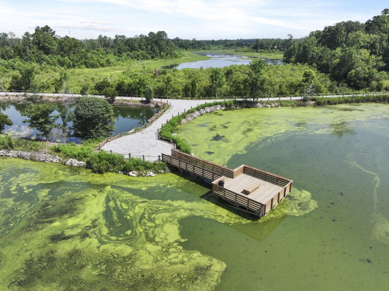 Property image 4 of 448 Tulip Poplar Drive in Carolina Groves, Moncks Corner, SC 29461