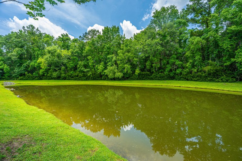 Property image 3 at 765 Certificate Court, Charleston, SC 29414