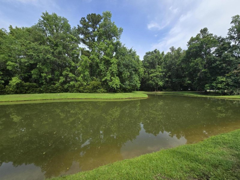 Property image 4 at 765 Certificate Court, Charleston, SC 29414