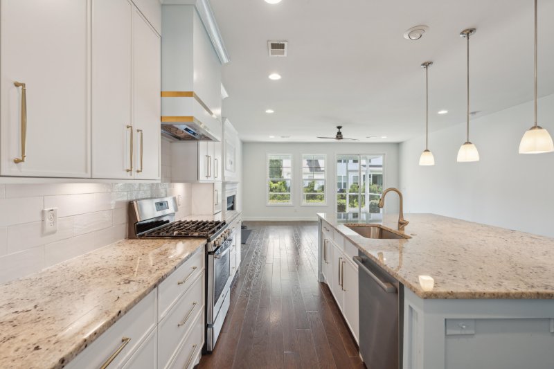 Property image 4 at 239 Swallowtail Court, Mount Pleasant, SC 29464