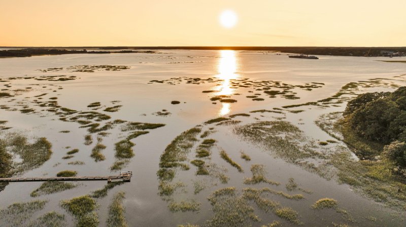 Property image 4 of 1358 Polly Point Road in Polly Point Plantation, Wadmalaw Island, SC 29487