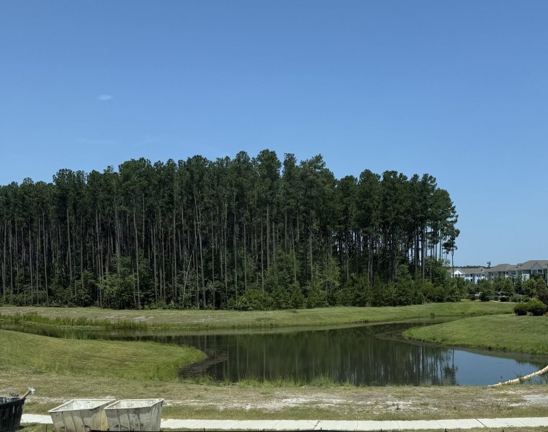 Property image 4 of 408 Great Egret in Nexton, Summerville, SC 29486