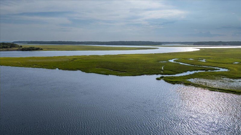 Property image 4 of 8488 Middleton Point Lane in Middleton Plantation, Edisto Island, SC 29438