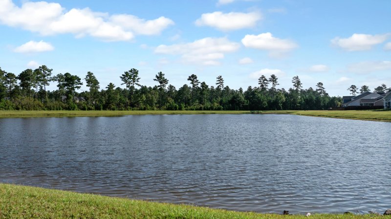 Property image 4 of 412 Richfield Way in Cane Bay Plantation, Summerville, SC 29486