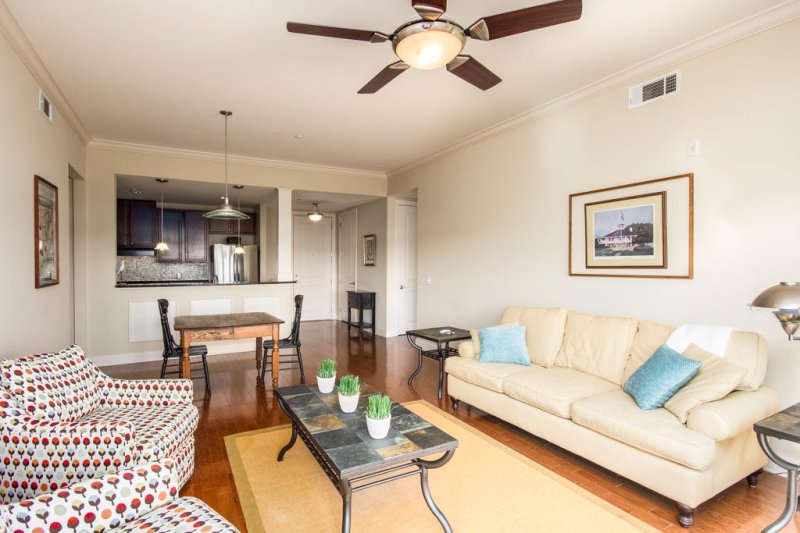 Property image 3 at 145 Pier View Street 313, Charleston, SC 29492