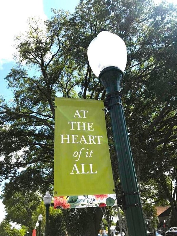 Property image 4 of 217 Seele Street in Founders Corner, Summerville, SC 29485