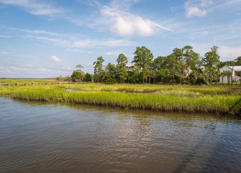 Property image 3 at 1487 W Deep Creek Overlook, Awendaw, SC 29429
