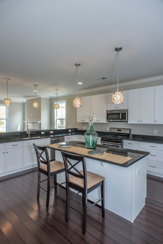 Property image 4 at 438 Sanders Farm Lane, Wando, SC 29492