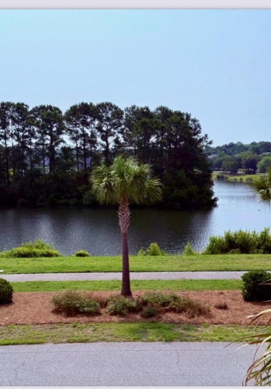 Property image 3 of 2919 Waterleaf Road in Whitney Lake, Johns Island, SC 29455