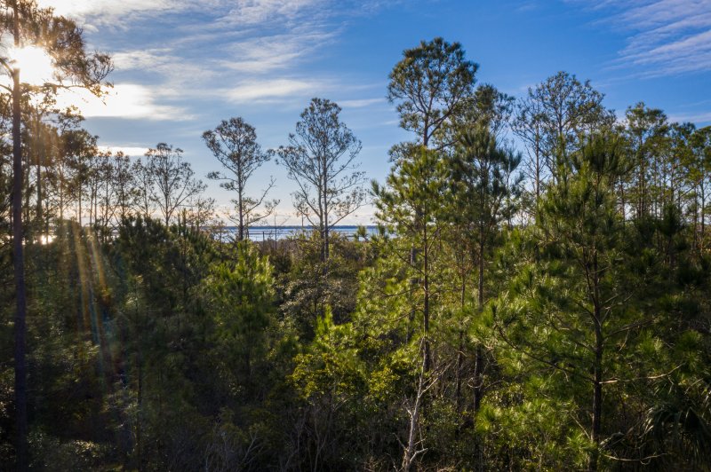 Property image 2 at 1718 Cultivation Lane Street 536, Mount Pleasant, SC 29466