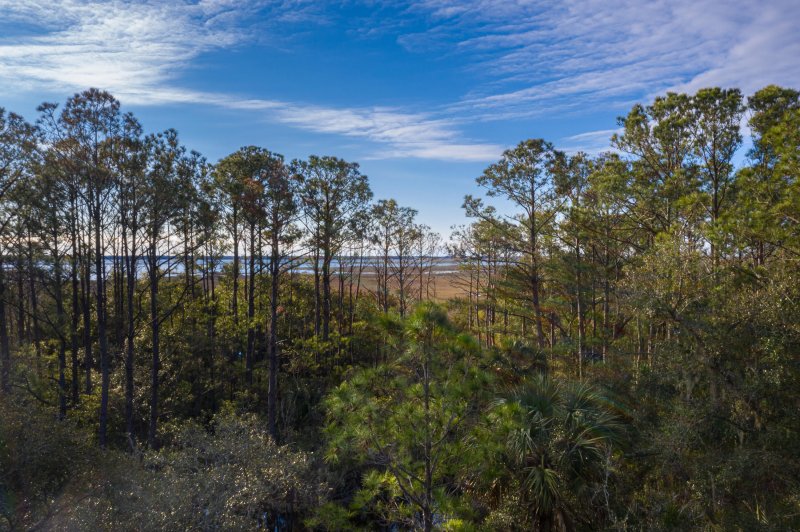 Property image 3 at 1718 Cultivation Lane Street 536, Mount Pleasant, SC 29466