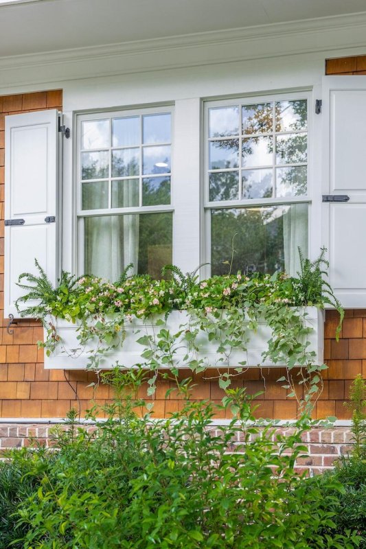 Property image 4 of 232 Delahow Street in Daniel Island Park, Daniel Island, SC 29492