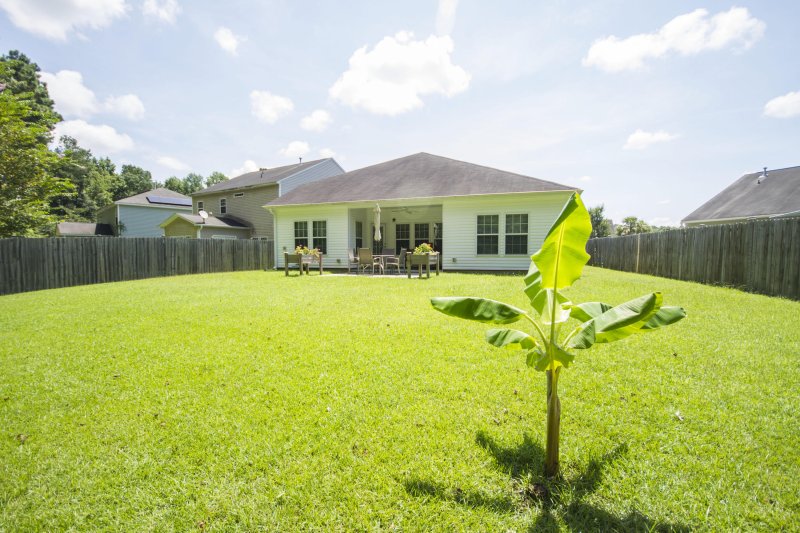Property image 3 at 231 Goldfinch Lane, Summerville, SC 29485
