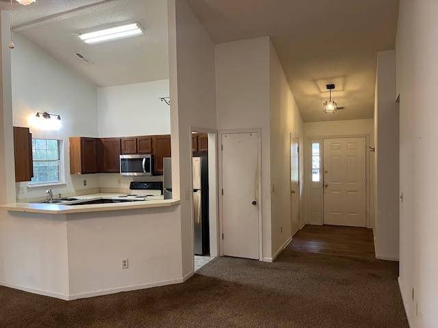 Property image 2 of 209 Salterton Street in Summerville Place, Summerville, SC 29485