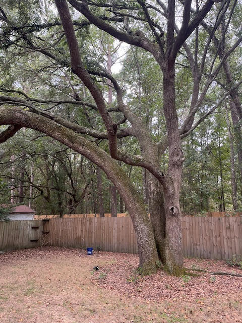 Property image 5 of 209 Salterton Street in Summerville Place, Summerville, SC 29485