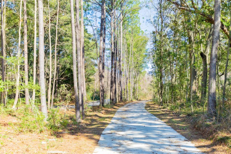 Property image 4 of 1717 Vireo Court in The Preserve at Fenwick Plantation, Johns Island, SC 29455