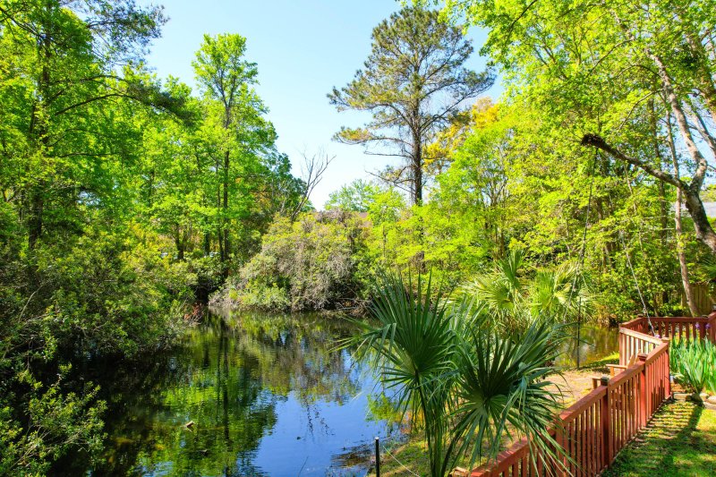 Property image 4 of 1255 Horseshoe Bend in Sweetgrass, Mount Pleasant, SC 29464