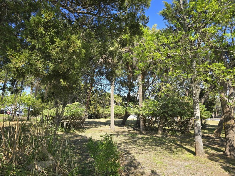 Property image 3 at 3601 Docksite Road, Edisto Beach, SC 29438