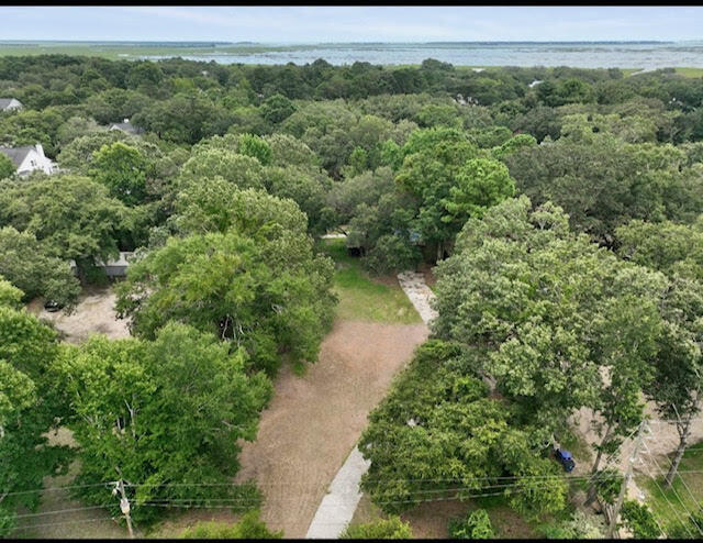 Property image 2 at 1380 Lieben Road, Mount Pleasant, SC 29466