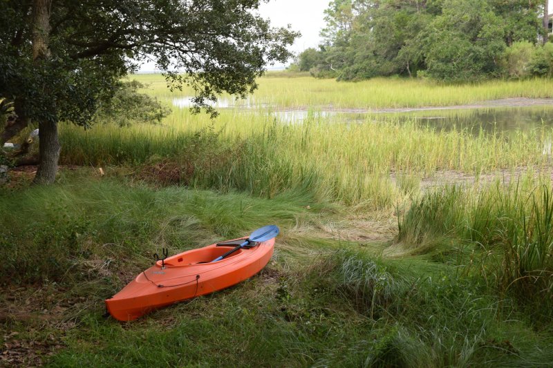 Property image 3 at 4074 Blackmoor Street, Mount Pleasant, SC 29466