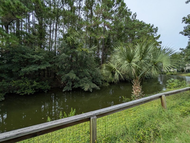 Property image 5 of 1920 Oak Tree Lane in Sweetgrass, Mount Pleasant, SC 29464