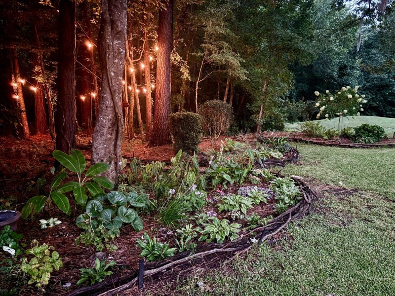 Property image 3 at 111 Pristine Court, Summerville, SC 29485