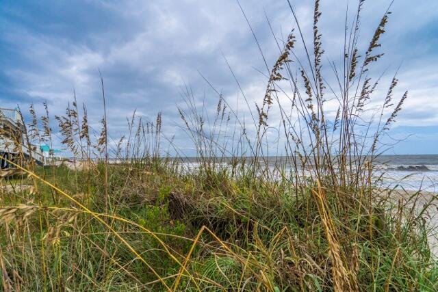Property image 4 at 144 Palmetto Boulevard, Edisto Island, SC 29438