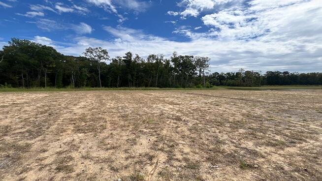Carolina Groves, Moncks Corner Community