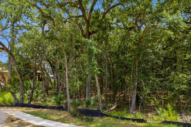 Property image 5 at 8295 Jack Island Drive, Johns Island, SC 29455