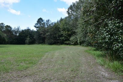 Property image 3 of Lot B Bobbie Lane in Rural Northern Berkeley County, Pineville, SC 29468