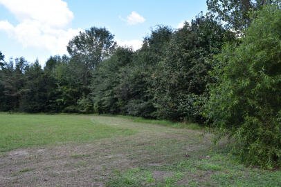 Property image 4 of Lot B Bobbie Lane in Rural Northern Berkeley County, Pineville, SC 29468