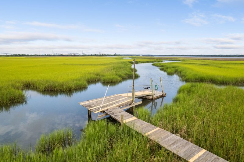 Property image 2 at 511 Yellow House Place, Charleston, SC 29492