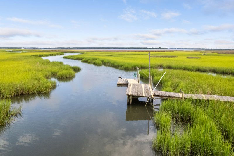 Property image 3 at 511 Yellow House Place, Charleston, SC 29492