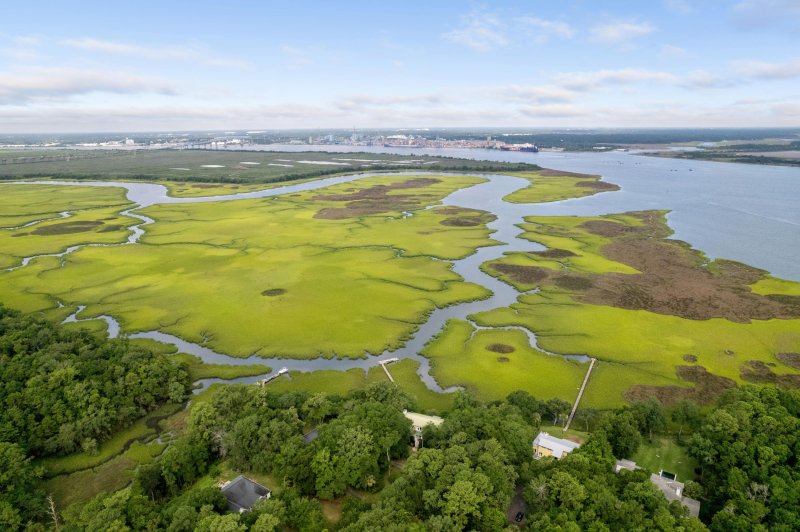 Property image 5 at 511 Yellow House Place, Charleston, SC 29492