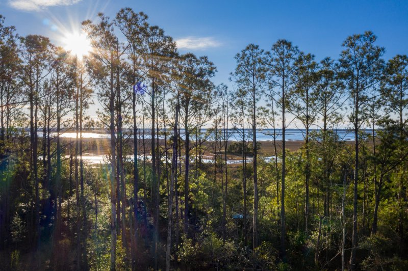 Property image 3 of 1742 Cultivation Lane 531 in Liberty Hill Farm, Mount Pleasant, SC 29466