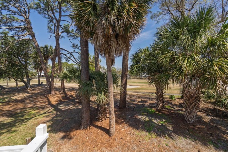 Property image 2 of 60 Rice Lane in Ocean Ridge, Edisto Beach, SC 29438