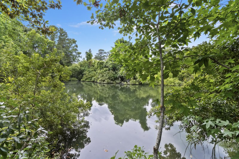 1245 Lakefront Drive Drive