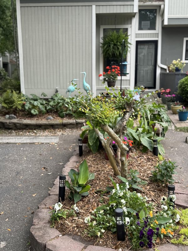 Property image 2 of 2757 Jobee Drive 1101 in Ashleytowne Village, Charleston, SC 29414